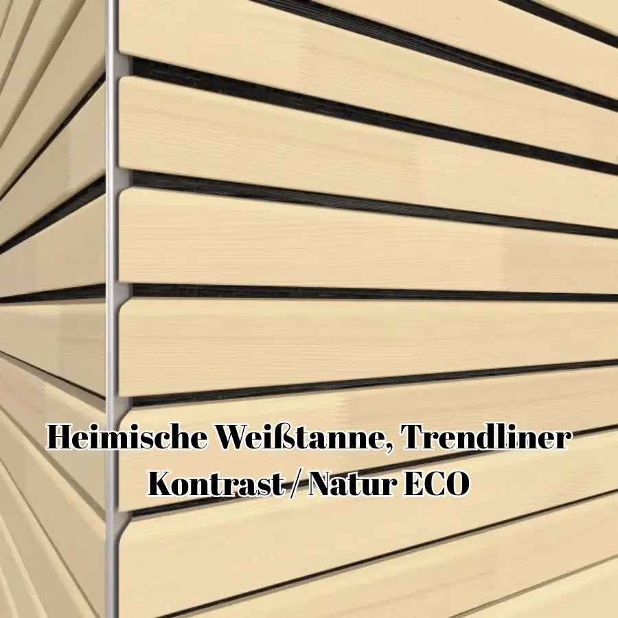 Fassadenverkleidung vorelementiert BBT Bäuerle Bau Team