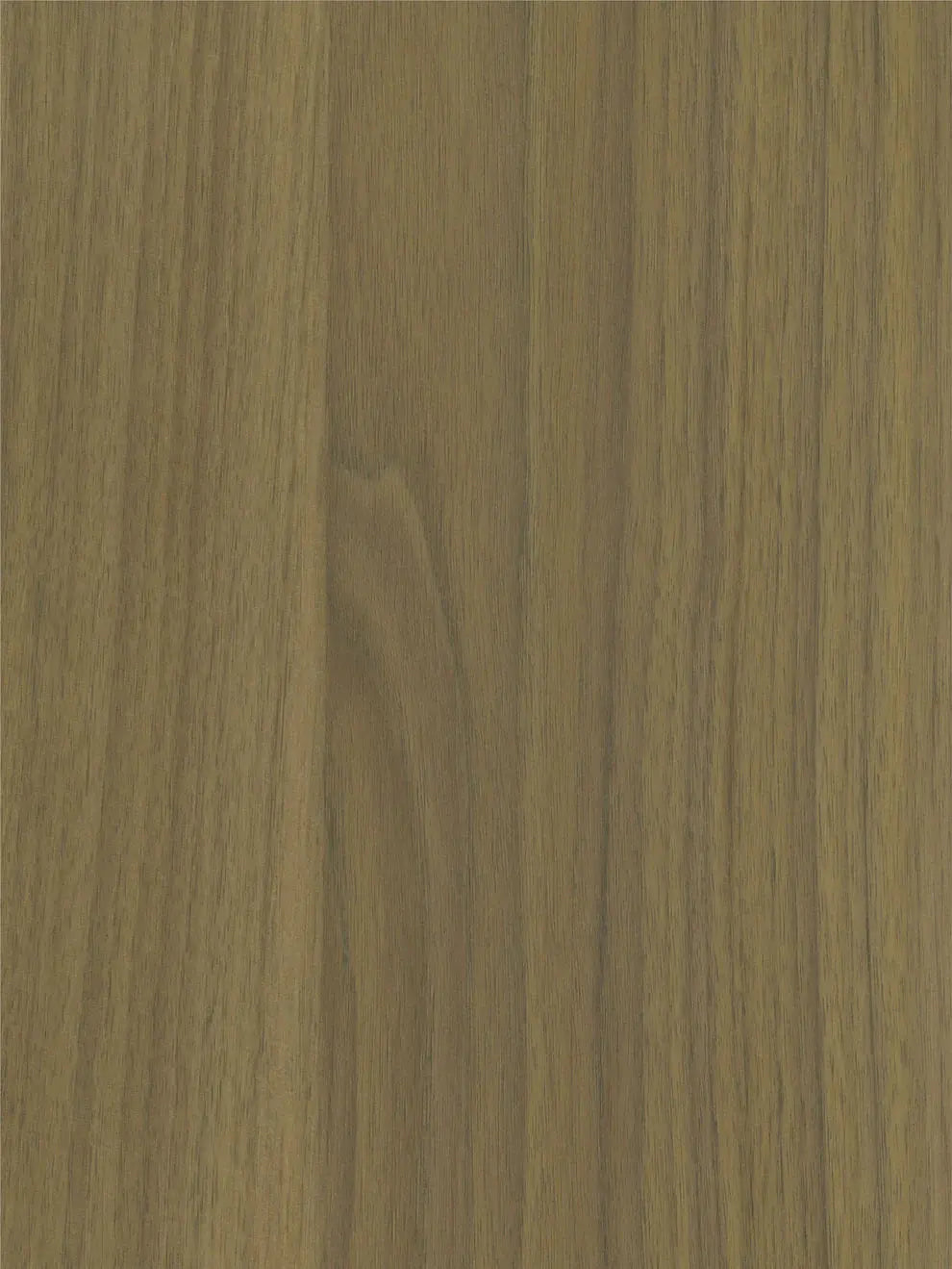 Crash Proof Holz 2600x1220x8mm (3,172m²) BBT Bäuerle Bau Team