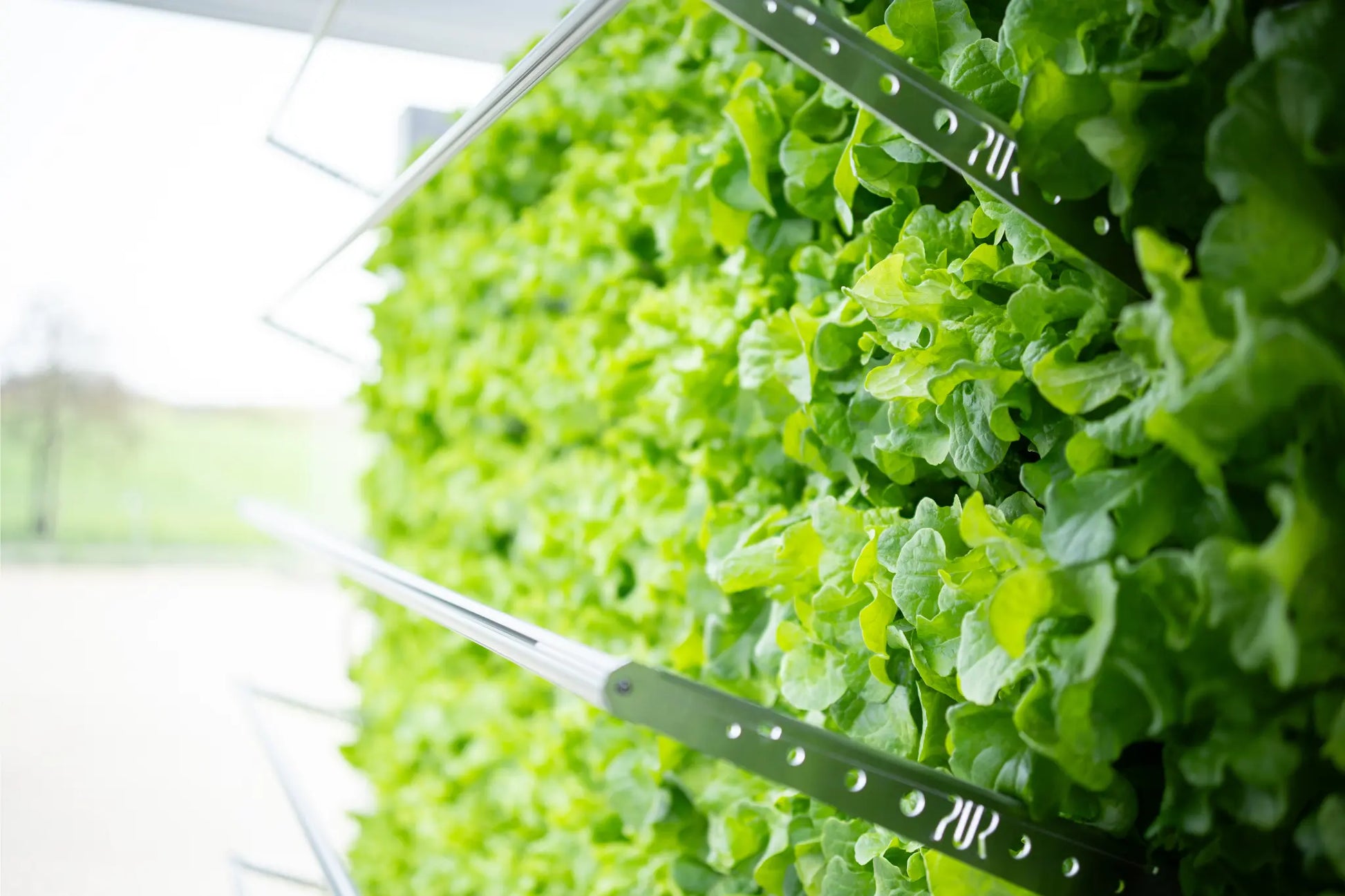 Inbox Farming: Hydroponik für Jedermann ConModu