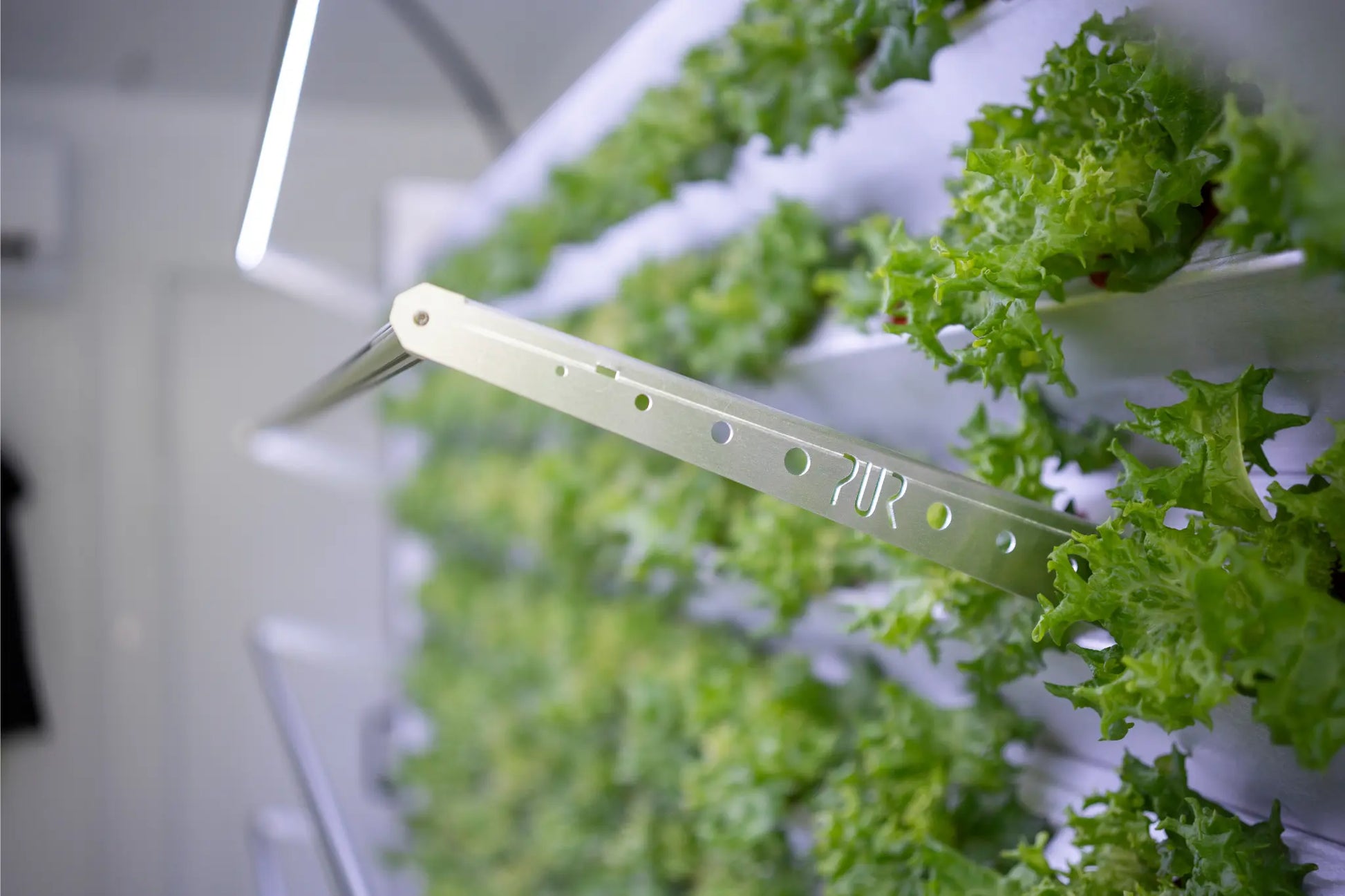 Inbox Farming: Hydroponik für Jedermann ConModu