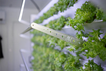 Inbox Farming: Hydroponik für Jedermann ConModu