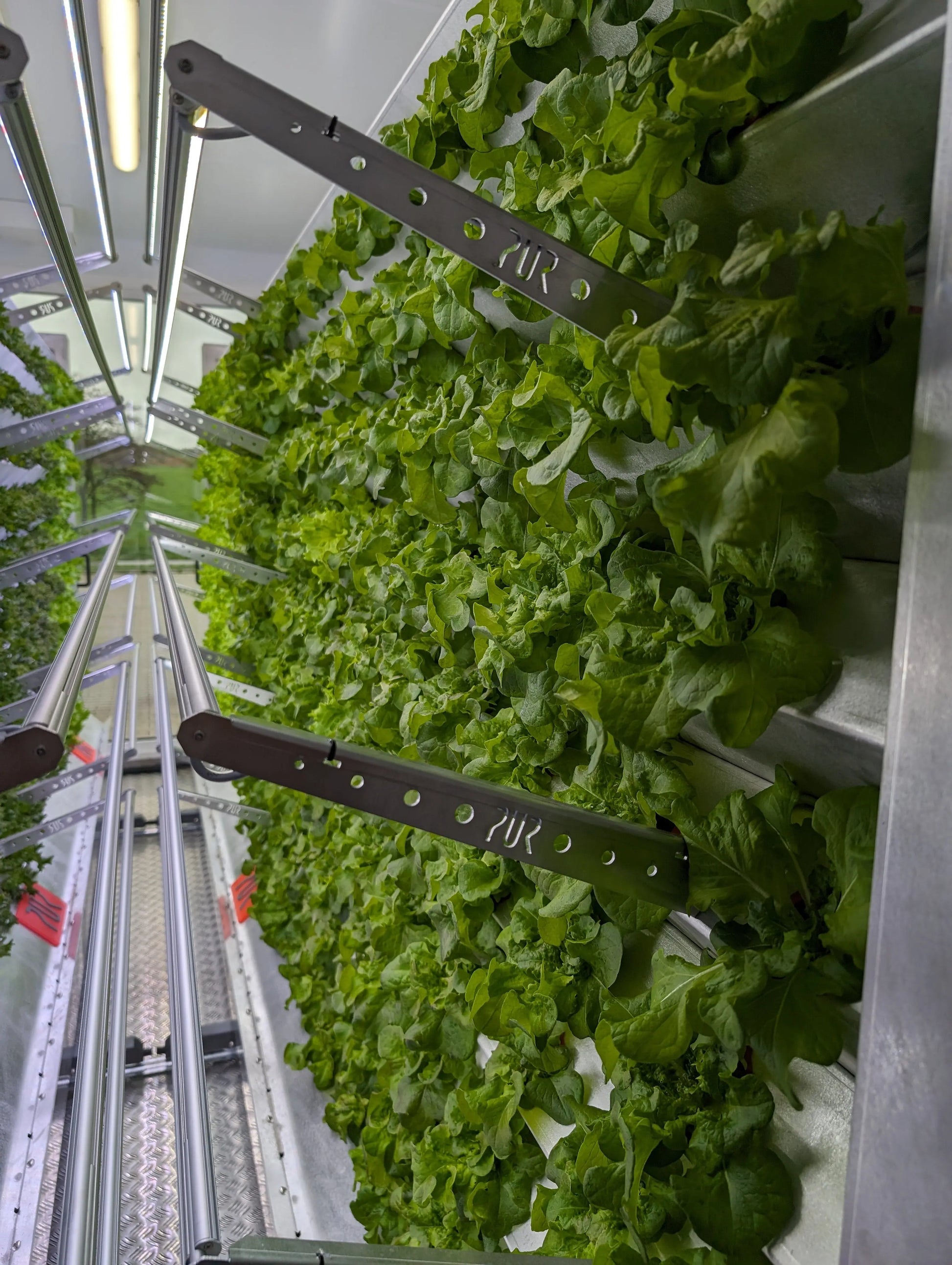Inbox Farming: Hydroponik für Jedermann ConModu
