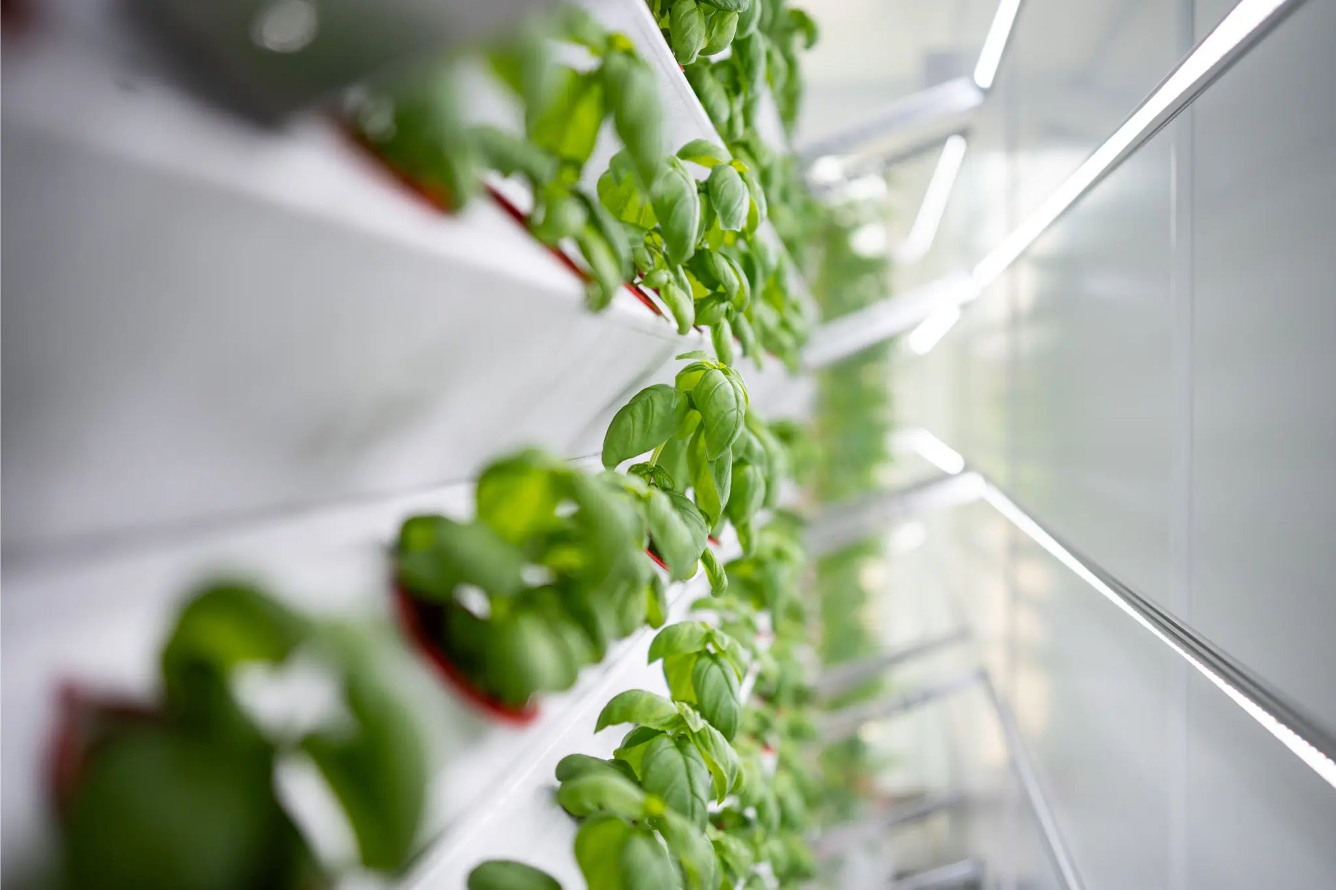Inbox Farming: Hydroponik für Jedermann ConModu