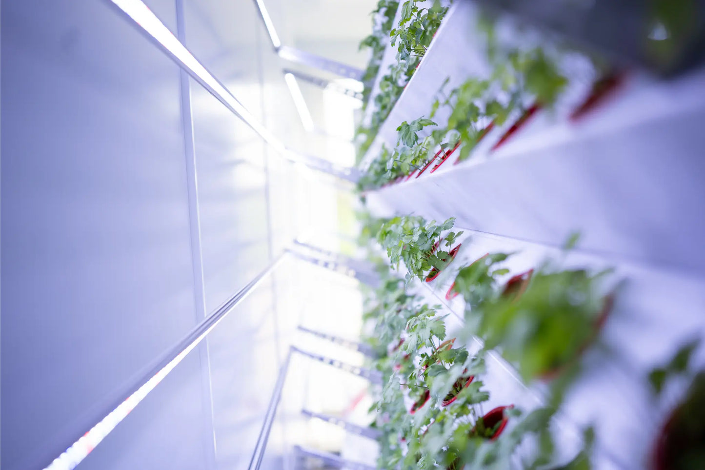 Inbox Farming: Hydroponik für Jedermann ConModu