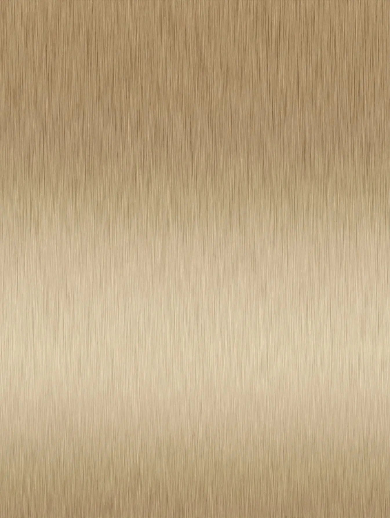 Bamboo WPC Metall PET-Serie Gold 2600x1220x5mm (3,172m²) - 31,50 € m² JVL Design
